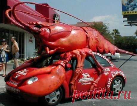 Во креветка :-)))