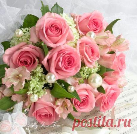 Дыханием нежно по кромке ресничек...
Шальная улыбка, как вспышка спросонок...
И в уши врываются песни синичек,
и что-то мурлычет под боком котёнок...

И хочется просто зажмуриться сладко,
от солнечных зайчиков в сетке шифона,
от счастья, что тоже запуталось в складках
на смятых подушках, вздыхая влюблённо...

Пусть дразнится зов ароматов кофейных,
пусть очень давно замолчала побудка...
Здесь слишком уютно, имейте терпенье,
ещё пару вздохов, ещё полминутки!...

Чуть-чуть не...