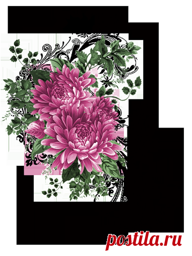 Цветы в PNG
