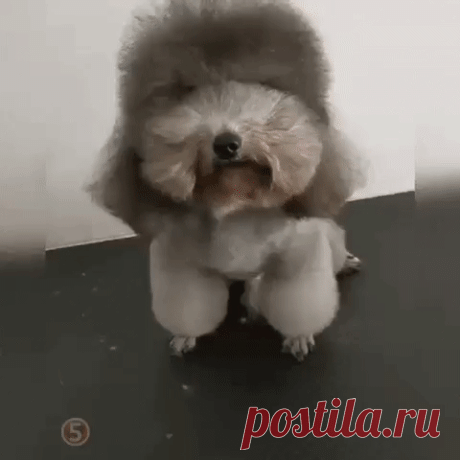 Теперь другое дело