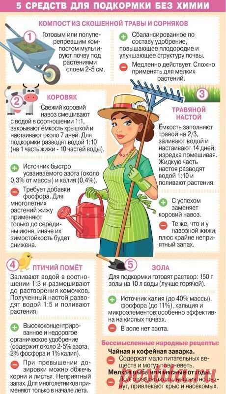 ОГОРОД
 Подкормка без химии