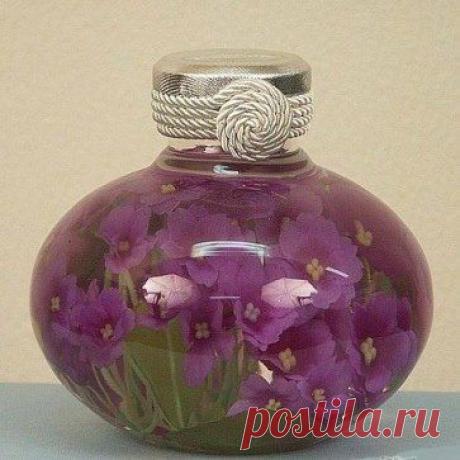 (1) Одноклассники