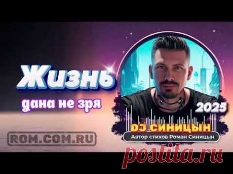 DJ СИНИЦЫН - Жизнь дана не зря