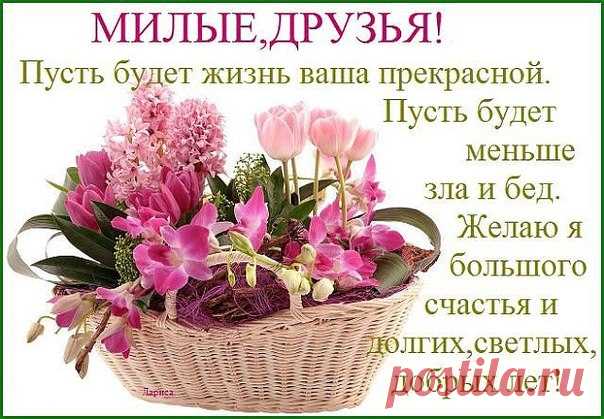 Сообщения / в Кругу Друзей - социальная сеть