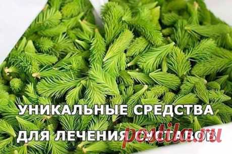 ​​УНИКАЛЬНЫЕ СРЕДСТВА ДЛЯ ЛЕЧЕНИЯ СУСТАВОВ

Рецепт первый.
Для приготовления этого рецепта против болей в суставах Вам необходимо замочить на ночь одну чайную ложечку желатиновых гранул в половине стакана холодной очищенной воды. На утро нужно добавить в получившуюся массу одну чайную ложечку свежего жидкого мёда, после чего залить смесь кипячёной тёплой водой, тщательно перемешать всю смесь до однородной массы и выпить перед приёмом пищи. Продолжительность одного лечебног...