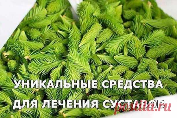 ​​УНИКАЛЬНЫЕ СРЕДСТВА ДЛЯ ЛЕЧЕНИЯ СУСТАВОВ

Рецепт первый.
Для приготовления этого рецепта против болей в суставах Вам необходимо замочить на ночь одну чайную ложечку желатиновых гранул в половине стакана холодной очищенной воды. На утро нужно добавить в получившуюся массу одну чайную ложечку свежего жидкого мёда, после чего залить смесь кипячёной тёплой водой, тщательно перемешать всю смесь до однородной массы и выпить перед приёмом пищи. Продолжительность одного лечебног...