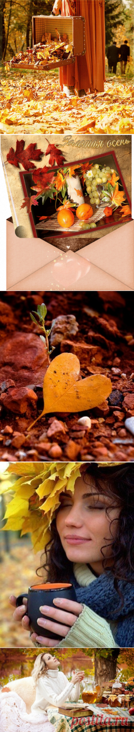 Рыжей капризой, нам осень танцует,
Нас, напоследок, теплом поцелует,
Рыжие кудри, мелькнут за окошком...
Осень спесива, как дикая кошка.