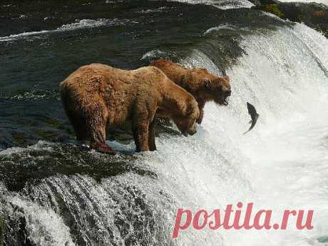 Фотостена - лучшие фотографии путешествий - TripAdvisor