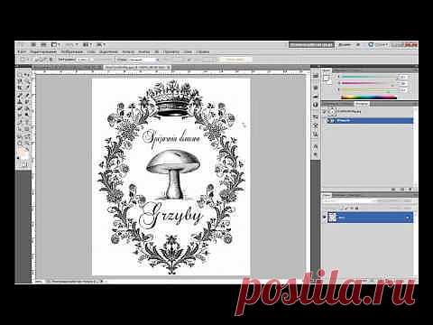 Перенос изображения.