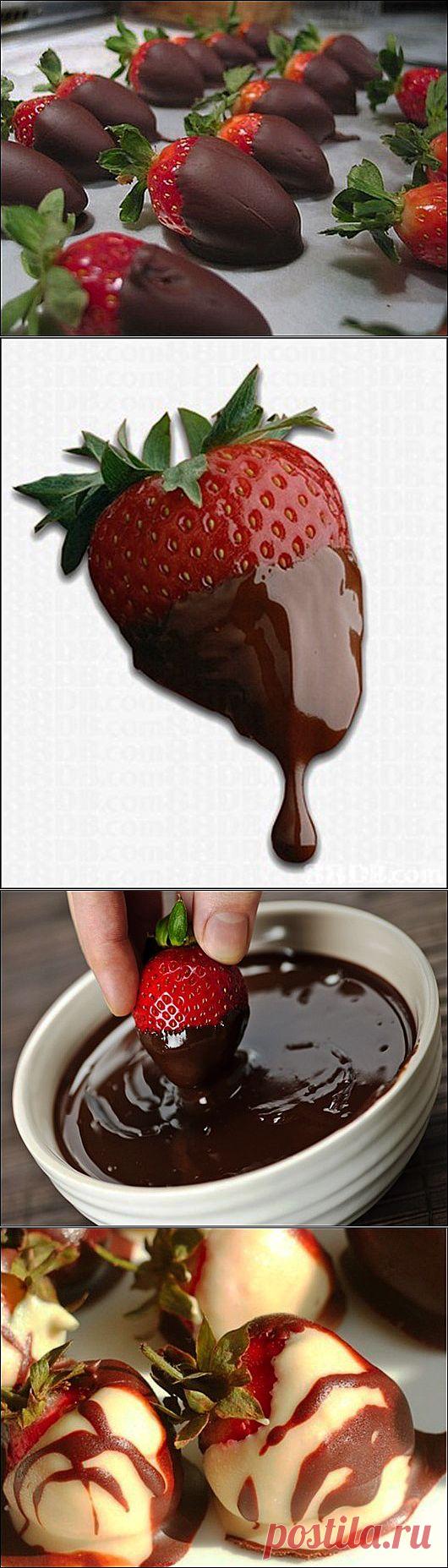 Клубника в шоколаде | One of Lady - Журнал для женщин