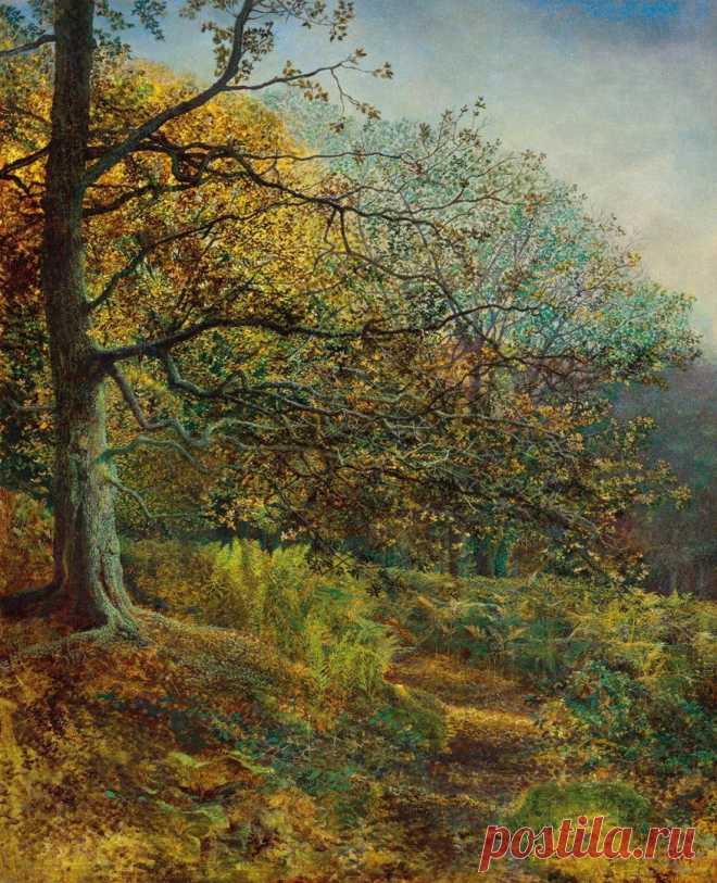 Художник Джон Эткинсон Гримшоу (John Atkinson Grimshaw, 1836-1893)

«Лес близ Лидса» (Woodland near Leeds)