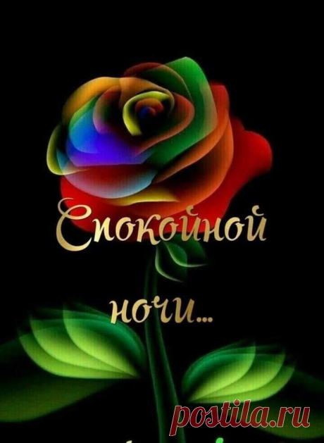 (1) Зина Таирова
