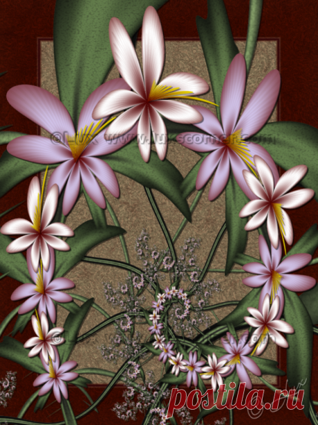 Vanda... by LaxmiJayaraj on DeviantArt