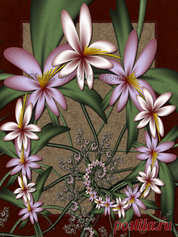 Vanda... by LaxmiJayaraj on DeviantArt