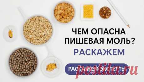 Hoвocть

Эксперты объяснили, чем опасны продукты, заражённые пищевой молью

Этот вредитель может стать неприятной неожиданностью для каждой хозяйки. Роспотребнадзор дал рекомендации по действиям, если в
Показать ещё