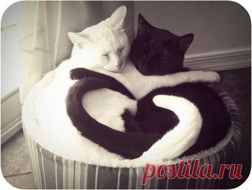 хх