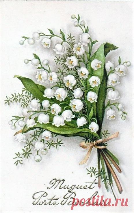 Gallery.ru / Фото #1 - 11 - Fyyfvbwrtdbx1957