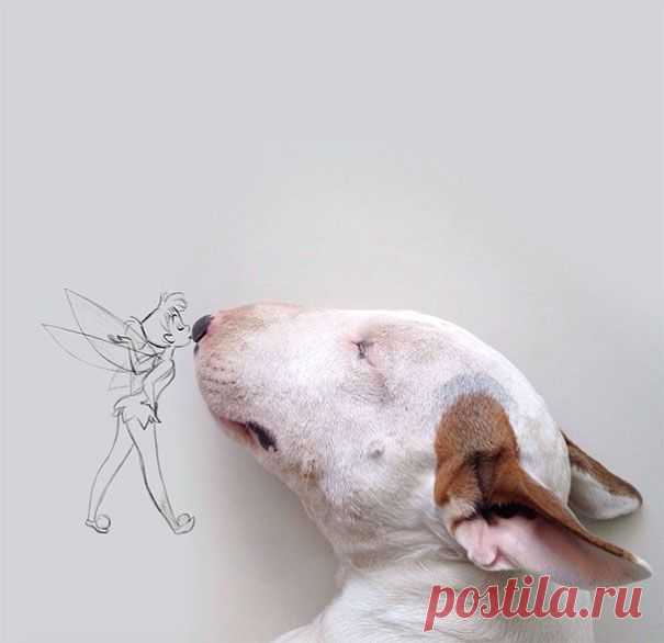Этого парня "бросила" жена,оставив ему лишь собаку и голые стены и вот что он сделал))