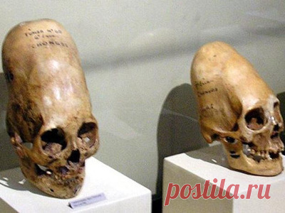 Ватикан скрывает настоящую историю человечества
