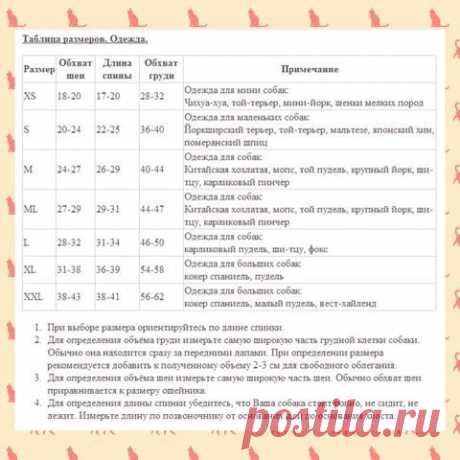 Мария Dolce Vita
25 лет, Россия, Москва