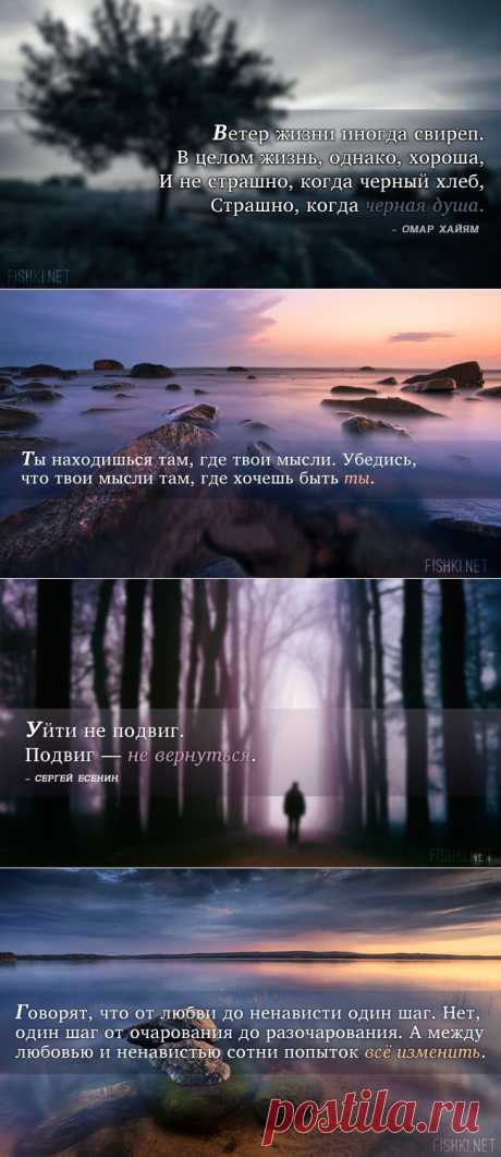 15 умных мыслей