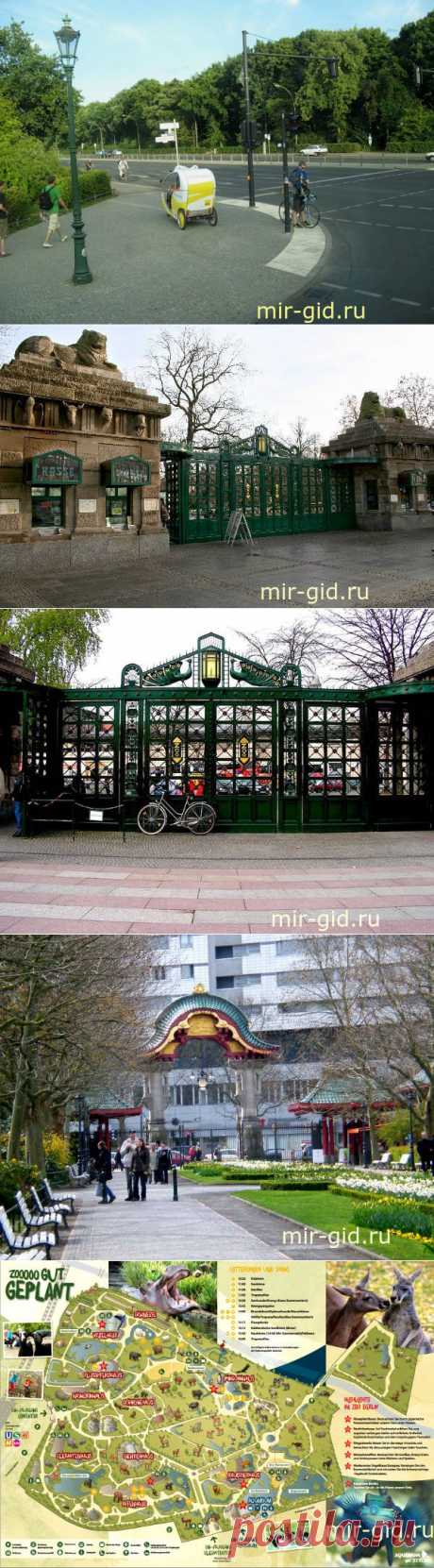 Идем в Берлинский зоопарк самостоятельно | mir-gid.ru