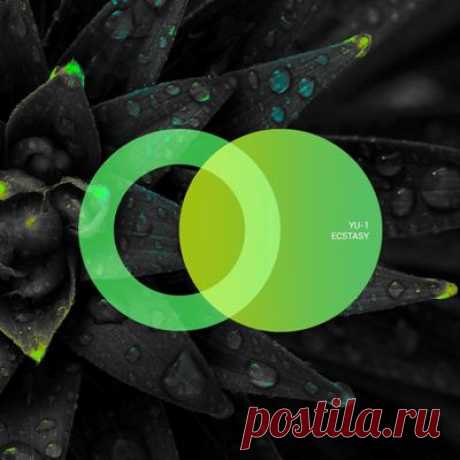 YU-1 - Ecstasy - psytrancemix.com