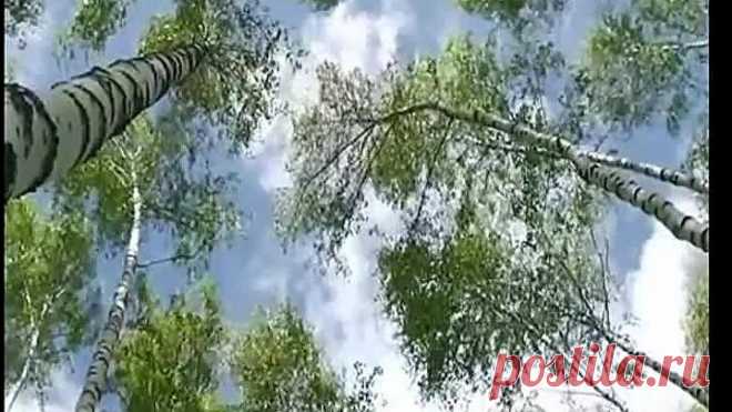 Я шла по жизни, делая ошибки...