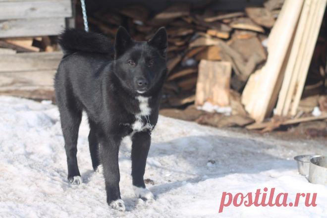 Вам и не снилось...
Светлана Канашевич