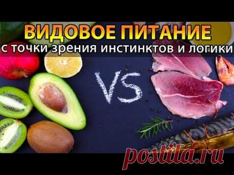 🍏 Видовое питание человека с точки зрения инстинктов и логики (видовая пища) - YouTube