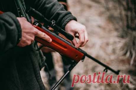 Помощника главы российского региона заподозрили в браконьерстве. Помощник временно исполняющего обязанности главы правительства Самарской области Антон Чередников стал фигурантом уголовного дела о браконьерстве после того, как в его машине нашли туши кабанов, а сам он не смог предъявить разрешение на охоту. Расследованием занимается отдел дознания Кинельского РОВД.