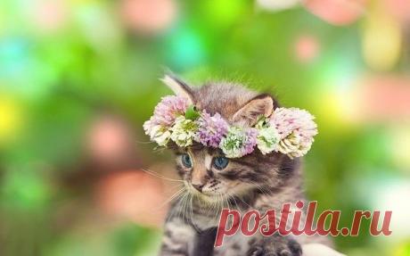 Маленькое чудо.