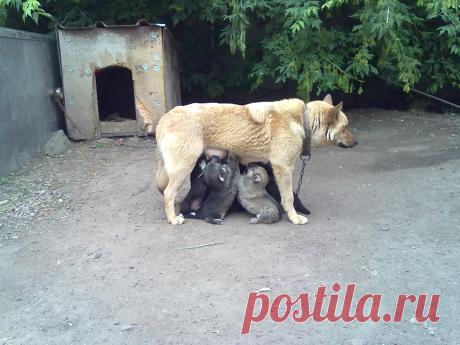 Очень удобно!