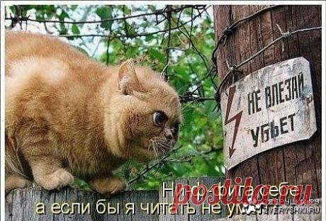 Грамотным быть все же не плохо!