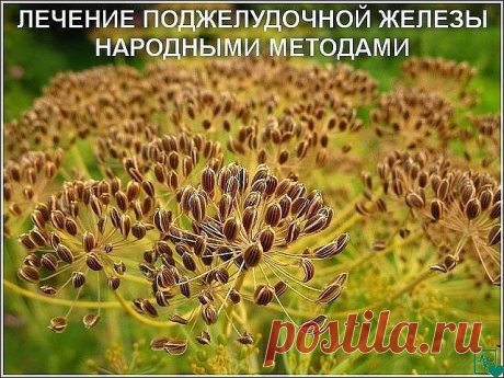 То, чего не расскажет ни один врач!
