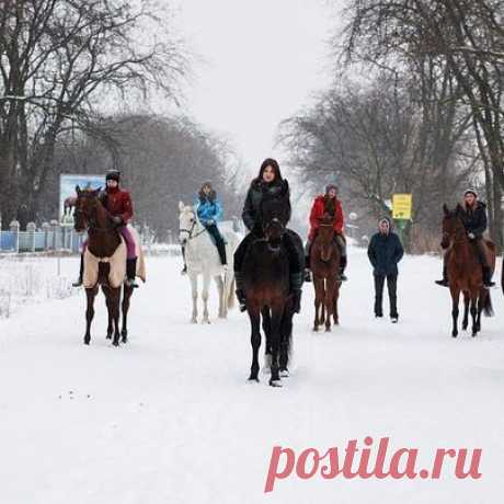 Наша "армия"#кскросинант #урокиверховойезды🐎