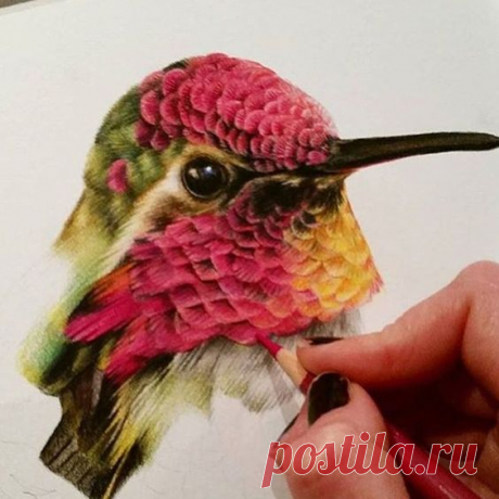 8,657 отметок «Нравится», 42 комментариев — Epic Art Posted Daily (@art_worldly) в Instagram: «Art by @sarahstribblingwildlifeart»