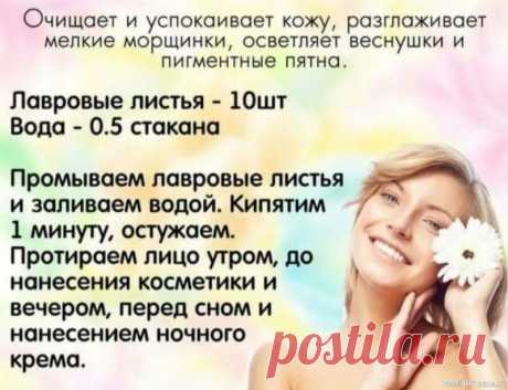 Секреты красоты. Лосьон из лавровых листьев .