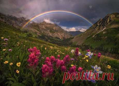 КАКОЙ СЕГОДНЯ ПРАЗДНИК? 21 Марта 2020 г. – Суббота • Международный день лесов (International Day of Forests)49 лет • День штурманов • Родительская суббота 3-й седмицы Великого поста • Всемирный день поэзии (World Poetry Day)21 год • День песен на крыше • Международный день цвета (International Color Day)11 лет • Всемирный день древесины (World Wood Day)7 лет • День старинной музыки (European Day of Early Music) • День свободы образования (Education Freedom Day)7 лет • Международный день…