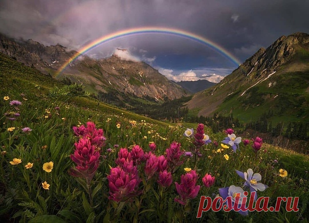 КАКОЙ СЕГОДНЯ ПРАЗДНИК? 21 Марта 2020 г. – Суббота • Международный день лесов (International Day of Forests)49 лет • День штурманов • Родительская суббота 3-й седмицы Великого поста • Всемирный день поэзии (World Poetry Day)21 год • День песен на крыше • Международный день цвета (International Color Day)11 лет • Всемирный день древесины (World Wood Day)7 лет • День старинной музыки (European Day of Early Music) • День свободы образования (Education Freedom Day)7 лет • Международный день…