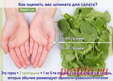 Шпинат: польза и вред для здоровья и как употреблять в пищу. Грамотные обзоры пользы и вреда продуктов от DietDo.ru!