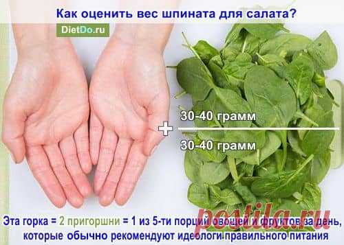 Шпинат: польза и вред для здоровья, состав и калорийность, как употреблять в пищу
