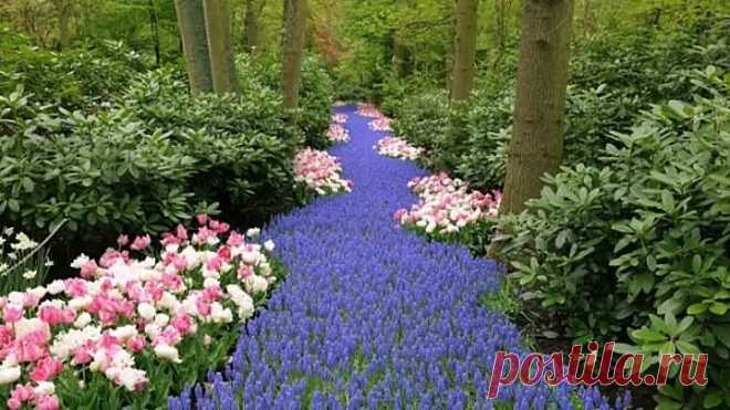 Друзья,эта красота для вас!!!