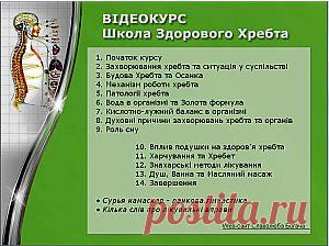 Лечение позвоночника в Киеве. Мануальная терапия.
Позвоночник-основа здоровья. Но от чего зависит здоровье вашего позвоночника?
Вы наверное знаете, что от здоровья вашего позвоночника зависит здоровье ВСЕГО вашего ОРГАНИЗМА. И видимо вы слышали о зловещем остеохондроз, межпозвонковые грыжи и защемления нервов. О смещении таза, позвонков, о влиянии позвоночника на возникновение гипертонии, миопии, язвы желудка, болезней почек видимо вы тоже слышали.