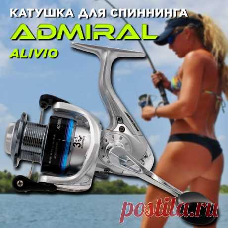 Катушка Fish Hunter DREELS, Безынерционная, 3000, Передний фрикцион купить по низкой цене с доставкой в интернет-магазине OZON (1187546661) Катушка Fish Hunter DREELS, Безынерционная, 3000, Передний фрикцион в интернет-магазине OZON! Самые выгодные цены на товары для рыбалки! ✔ Характеристики ✔ Фото ✔ Большой выбор ✔ Отзывы ✔ Гарантия ✔ Рассрочка! Доставка 🚚 (1187546661)