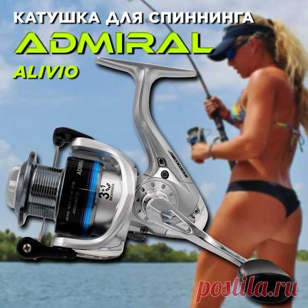 Катушка Fish Hunter DREELS, Безынерционная, 3000, Передний фрикцион купить по низкой цене с доставкой в интернет-магазине OZON (1187546661) Катушка Fish Hunter DREELS, Безынерционная, 3000, Передний фрикцион в интернет-магазине OZON! Самые выгодные цены на товары для рыбалки! ✔ Характеристики ✔ Фото ✔ Большой выбор ✔ Отзывы ✔ Гарантия ✔ Рассрочка! Доставка 🚚 (1187546661)