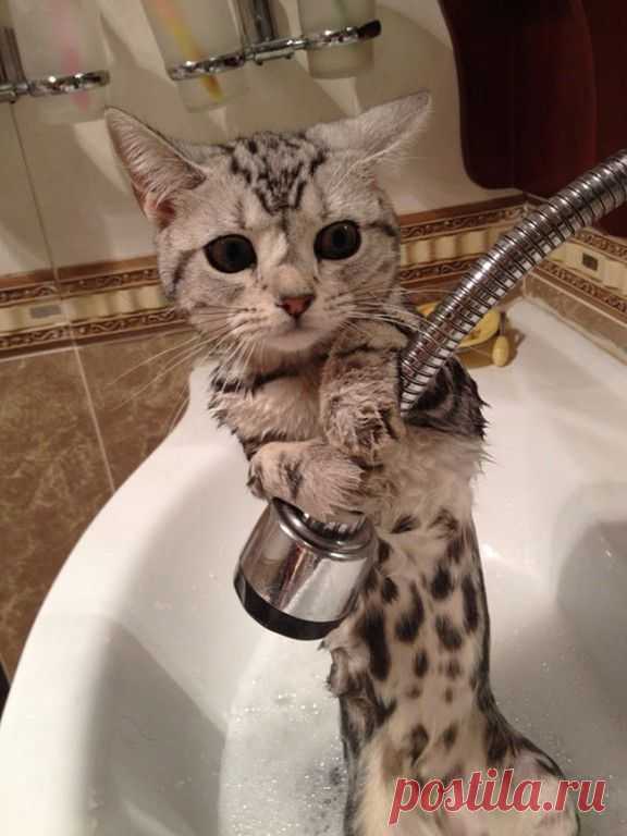 Полезно знать