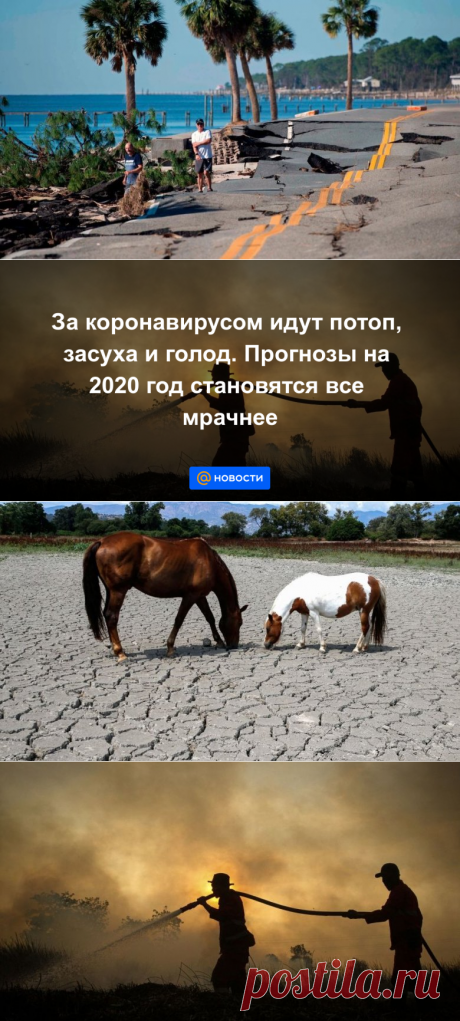 За коронавирусом идут потоп, засуха и голод. Прогнозы на 2020 год становятся все мрачнее - Новости Mail.ru