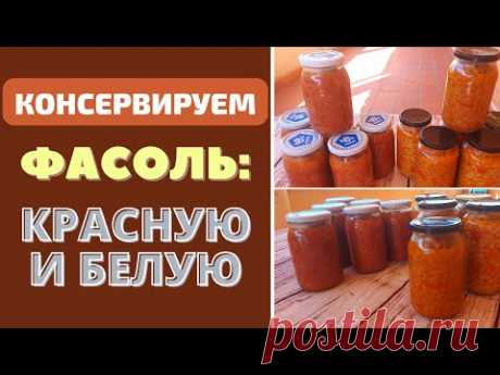 КАК КОНСЕРВИРОВАТЬ ФАСОЛЬ НА ЗИМУ: 2 СПОСОБА ПРИГОТОВЛЕНИЯ  БЕЛАЯ И КРАСНАЯ ФАСОЛЬ