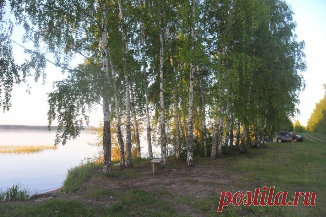 Улыбнулись сонные березки,
Растрепали шелковые косы.
Шелестят зеленые сережки 
И горят серебряные росы.
С.Есенин